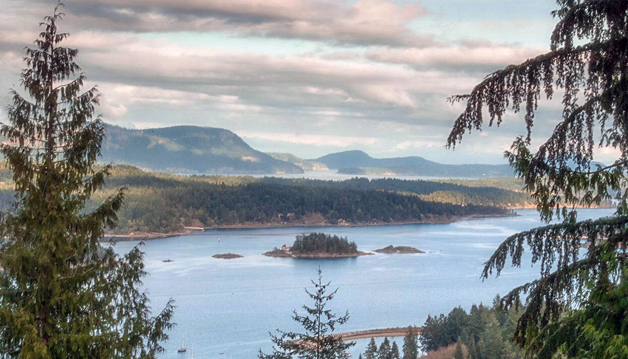 Sanctuary Salt Spring Guesthouse Views